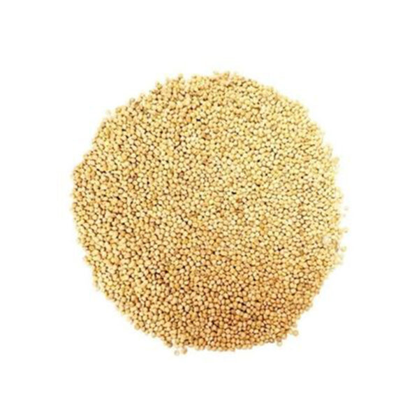 مکمل تقویتی پرندگان زینتی