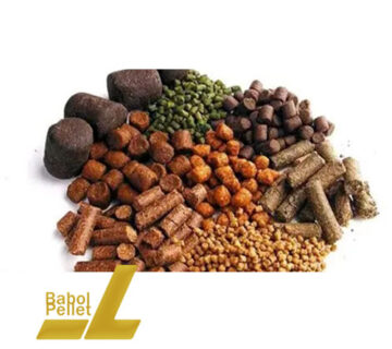 کارخانه خوراک دام بابل